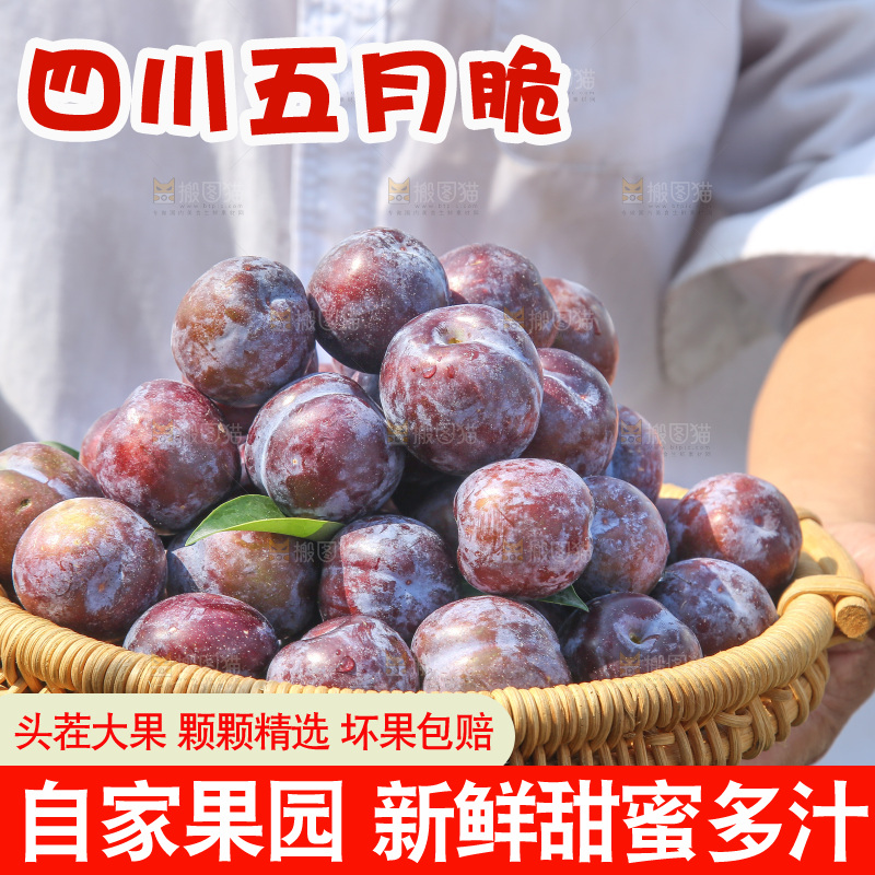 手里拿着五月脆李
