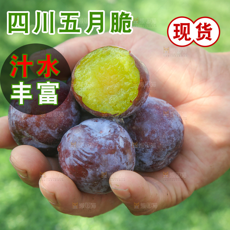 手里拿着五月脆李