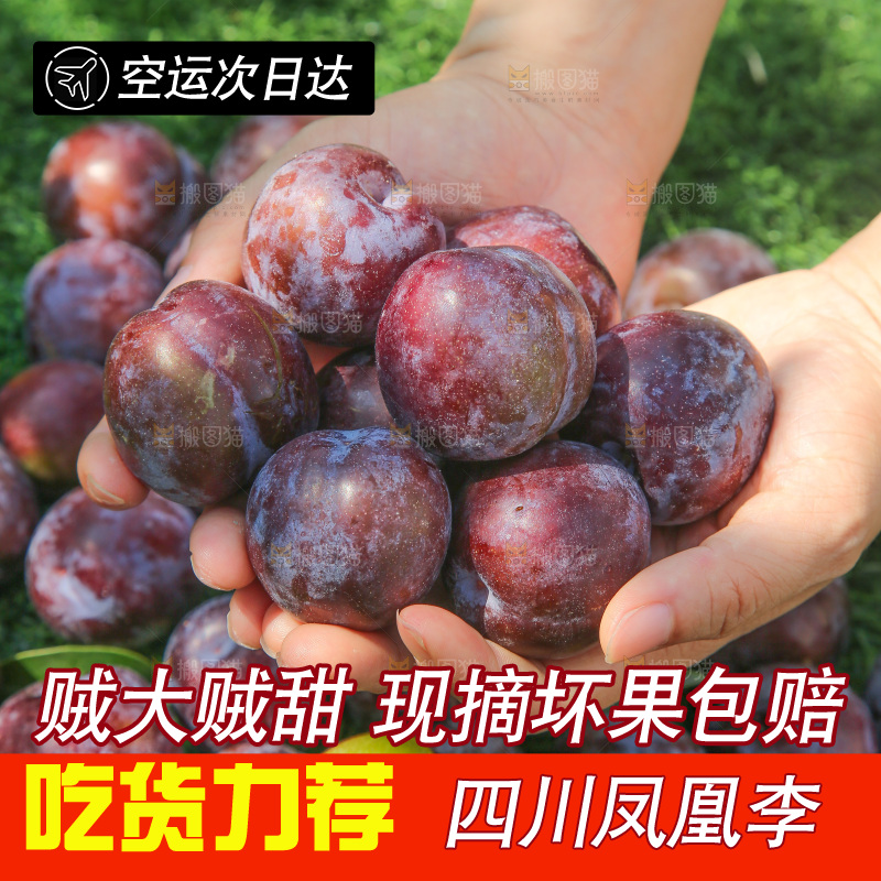 手里拿着五月脆李