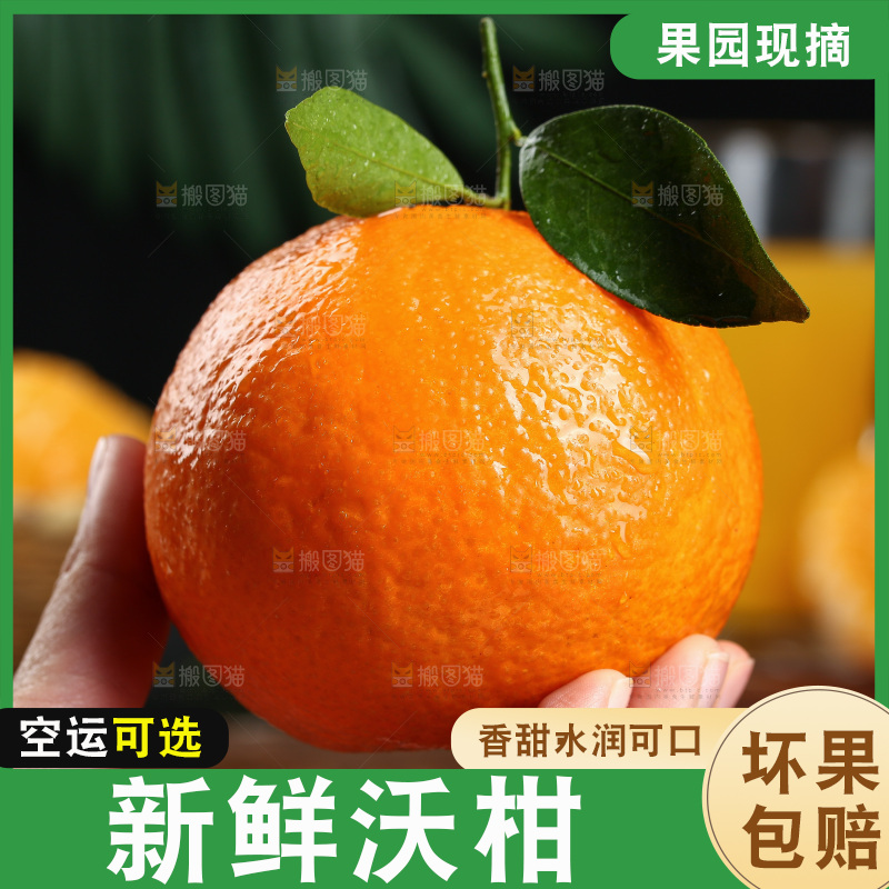 深底上的沃柑