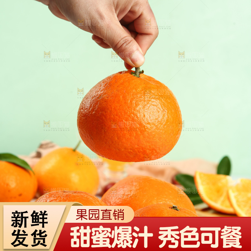 浅底上的青见