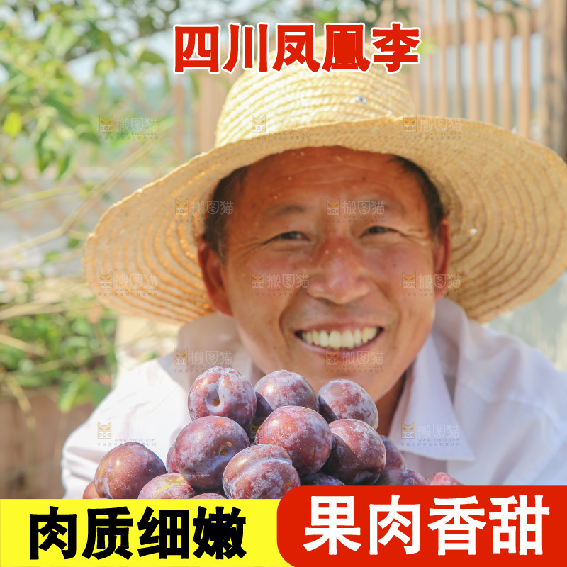 手里拿着五月脆李