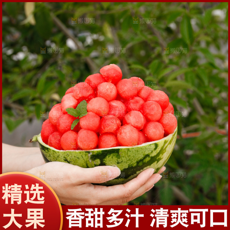 手里拿着红瓤西瓜