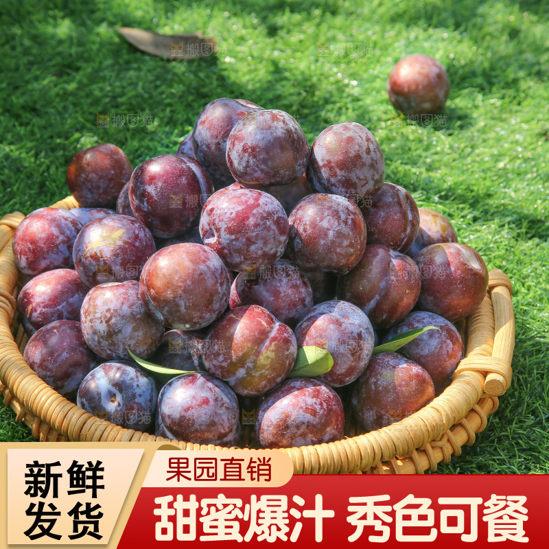 草地上放着五月脆李