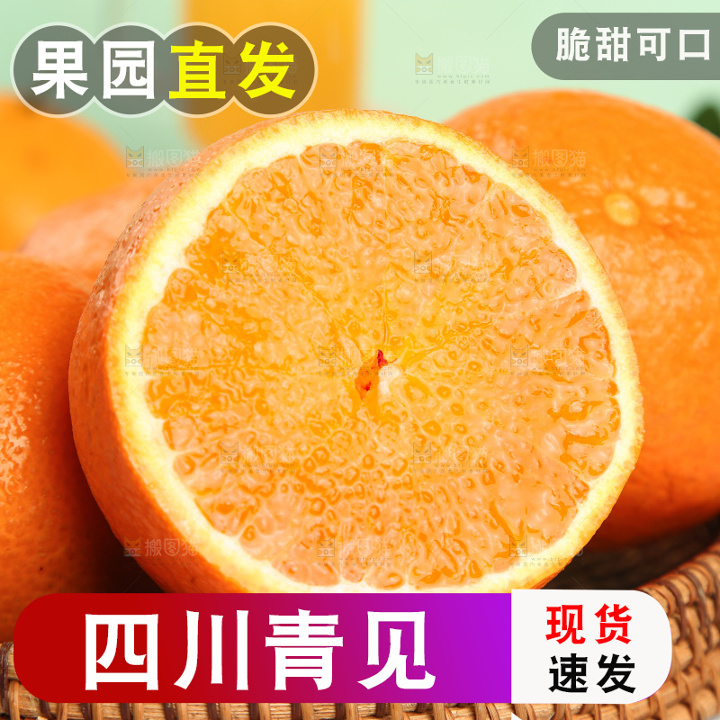 浅底上的青见