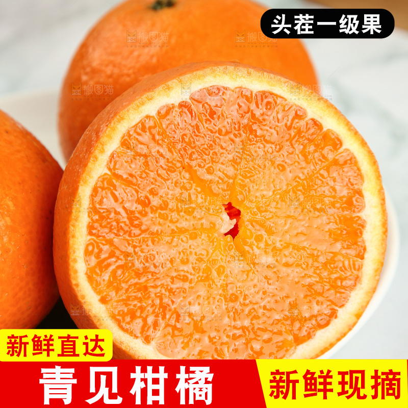 浅底上的青见