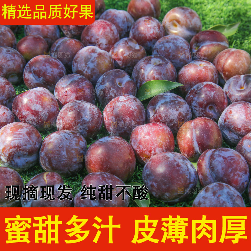 草地上放着五月脆李