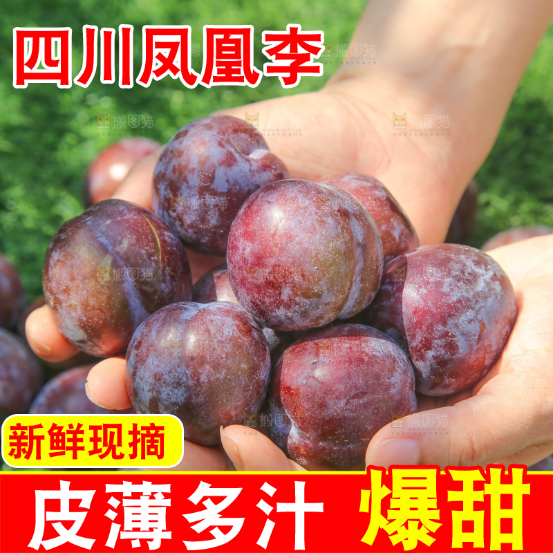 手里拿着五月脆李