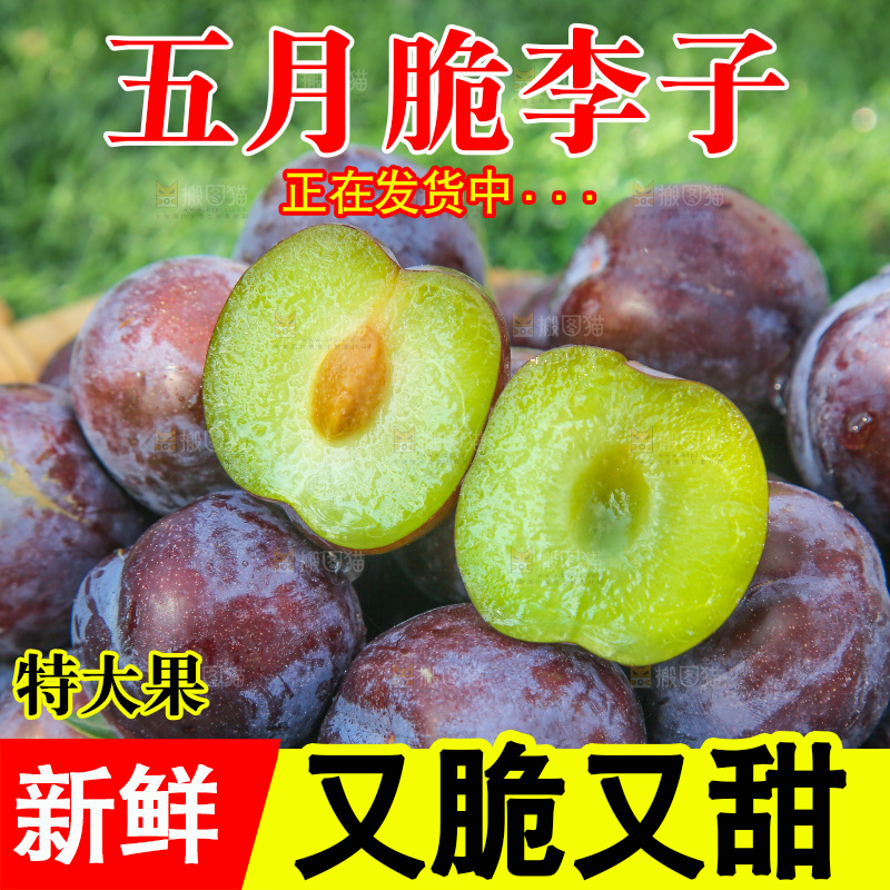 草地上放着五月脆李