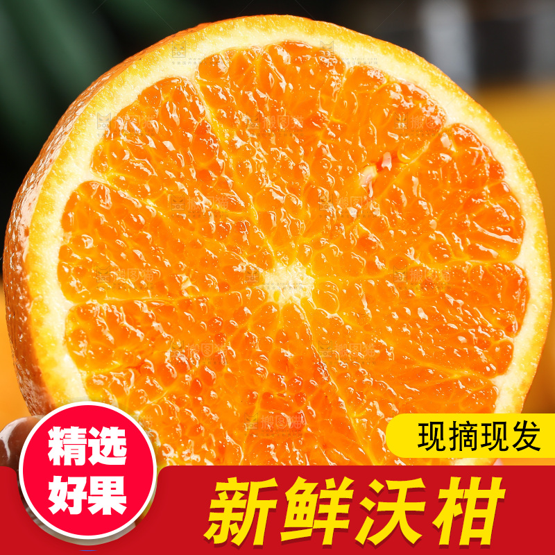深底上的沃柑