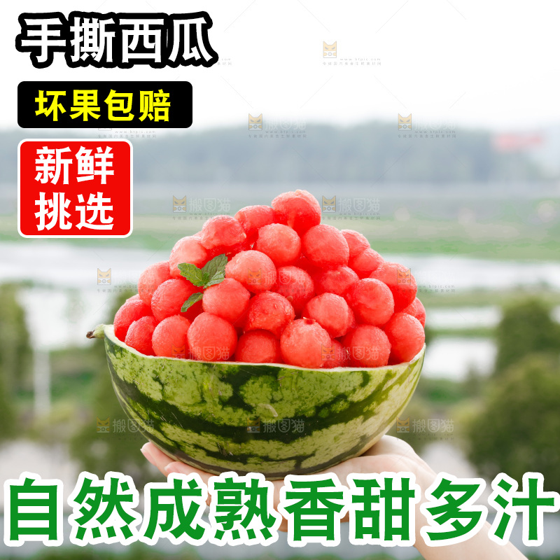 手里拿着红瓤西瓜