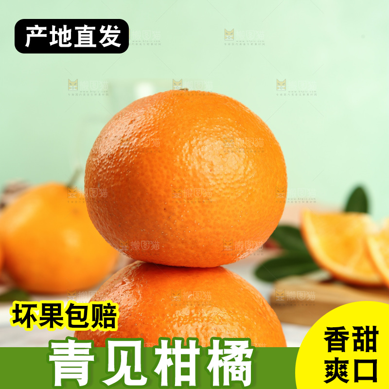 浅底上的青见