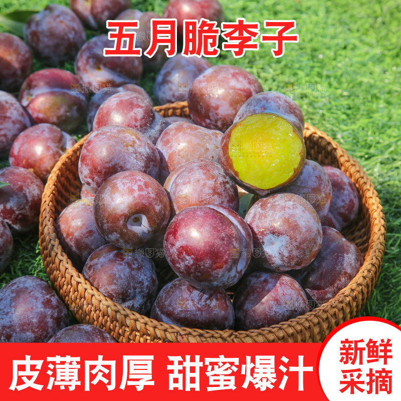 草地上放着五月脆李