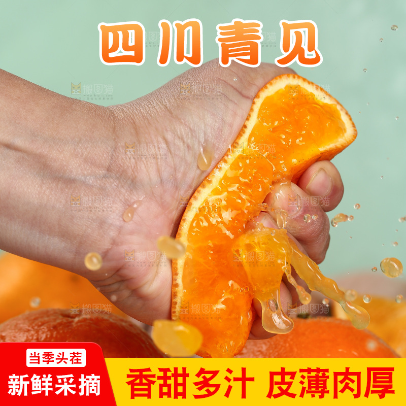 浅底上的青见