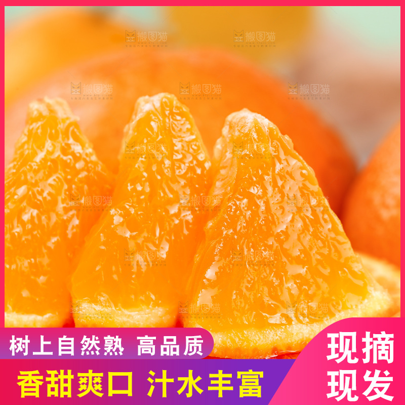 浅底上的青见