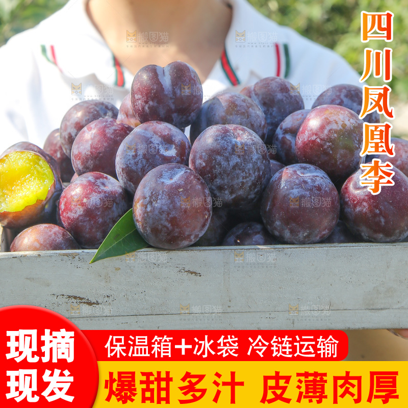 手里拿着五月脆李