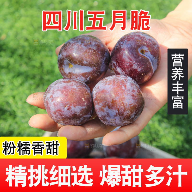 手里拿着五月脆李