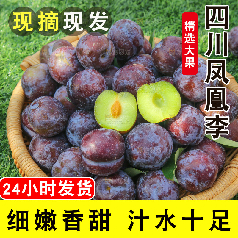 草地上放着五月脆李