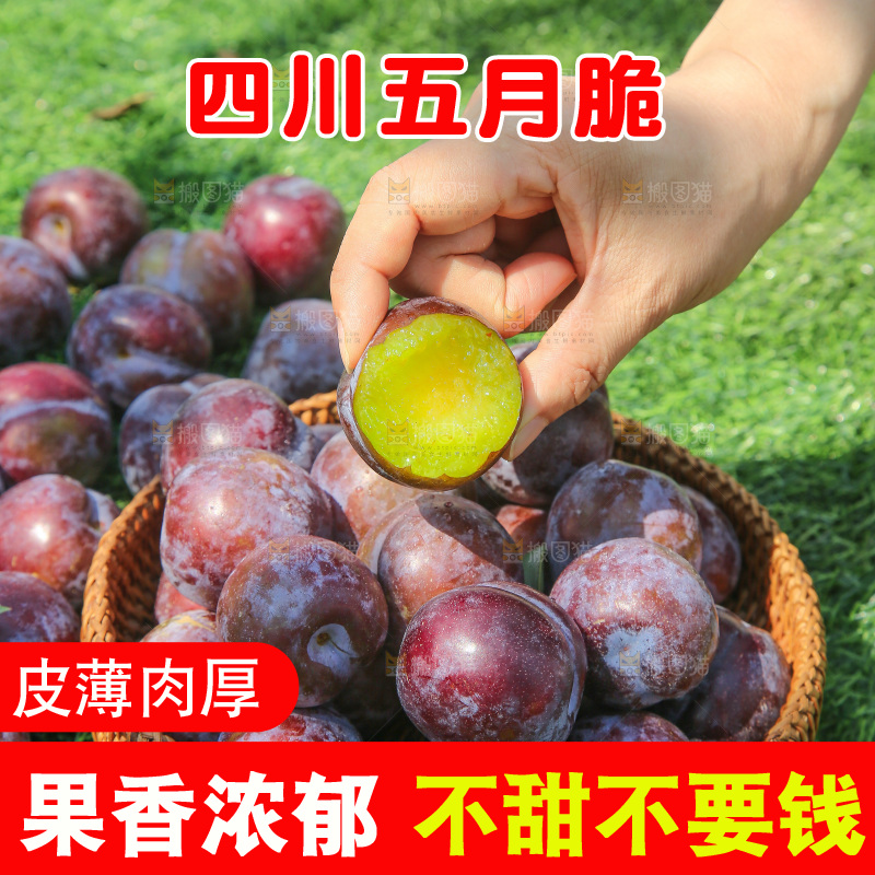 手里拿着五月脆李