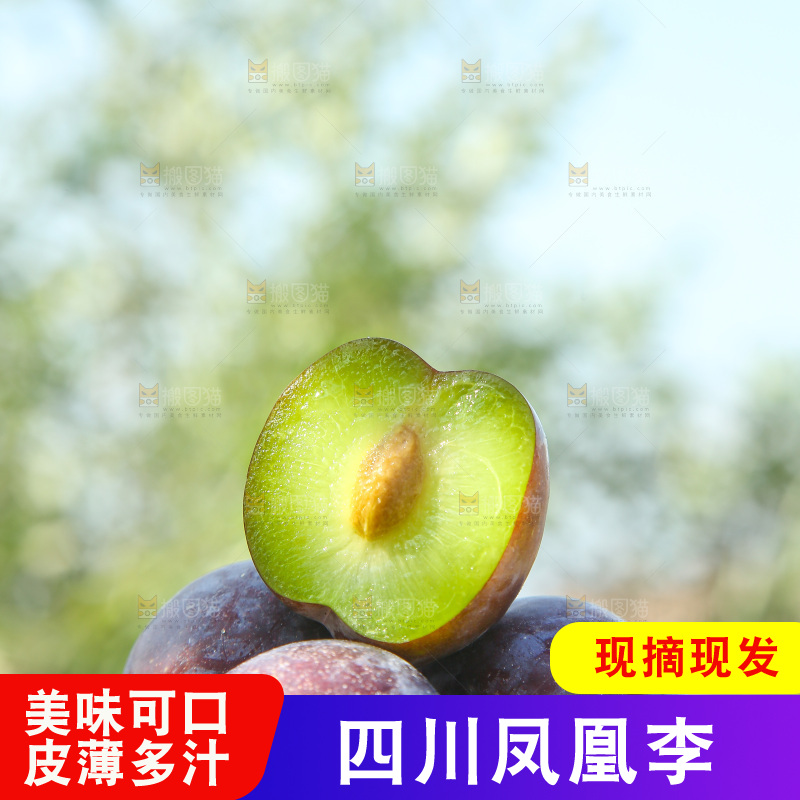 手里拿着五月脆李