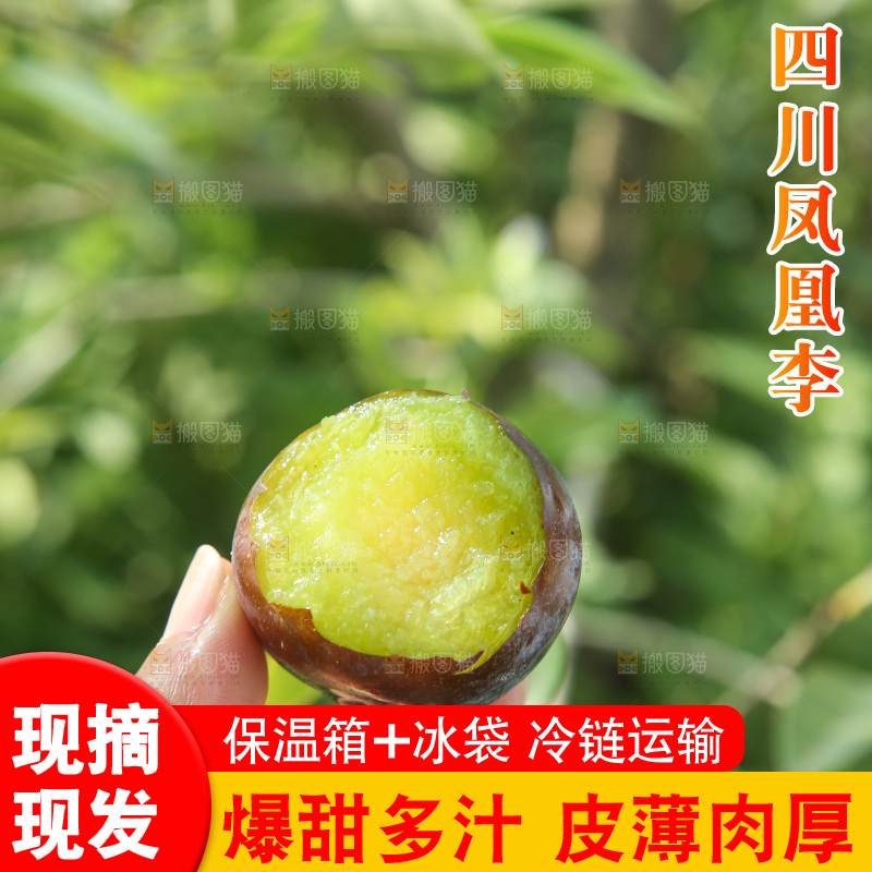 手里拿着五月脆李
