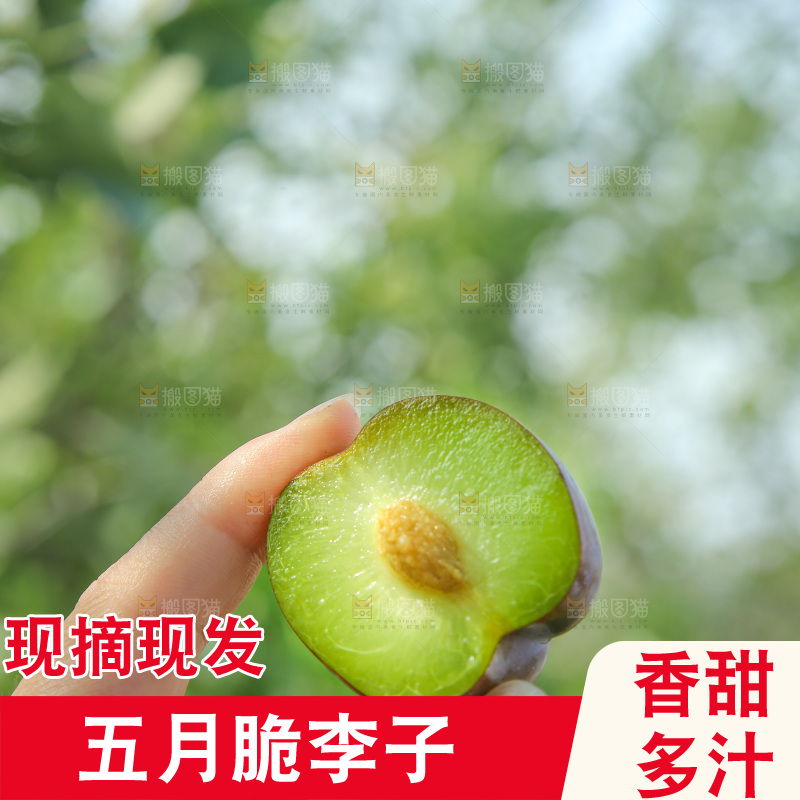 手里拿着五月脆李