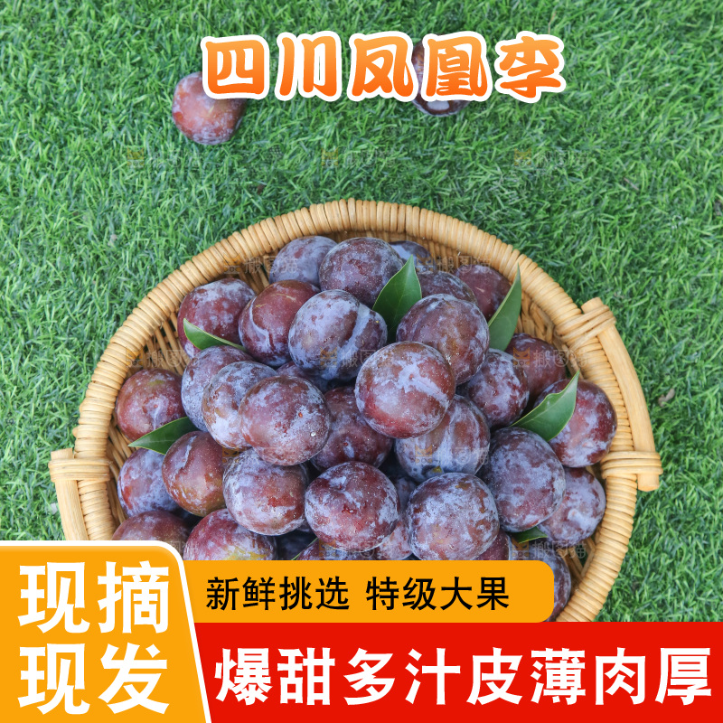 草地上放着五月脆李