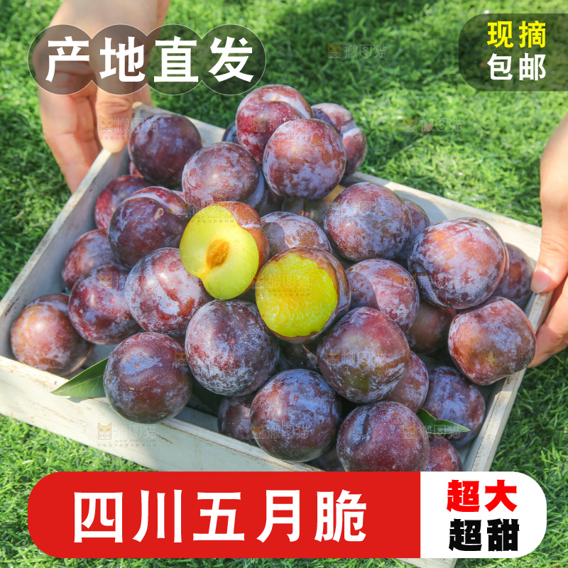 草地上放着五月脆李