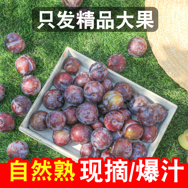 草地上放着五月脆李