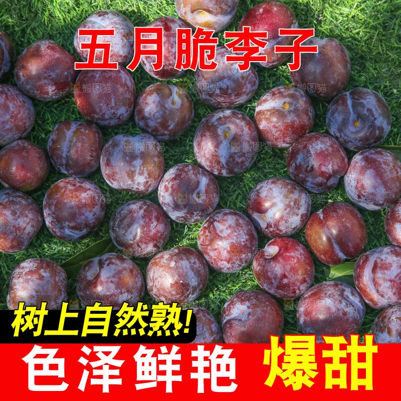 草地上放着五月脆李