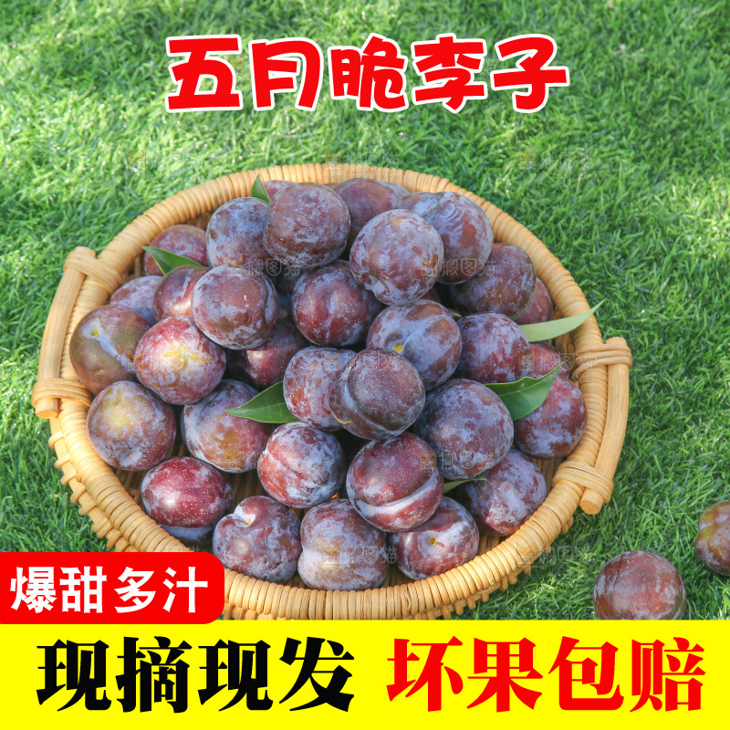 草地上放着五月脆李