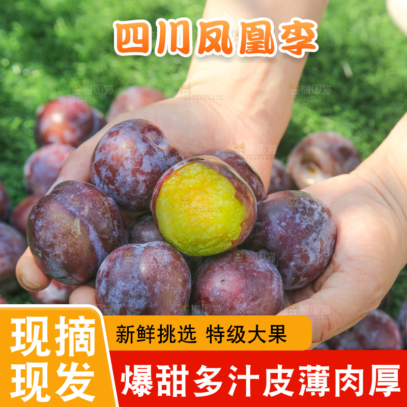 手里拿着五月脆李