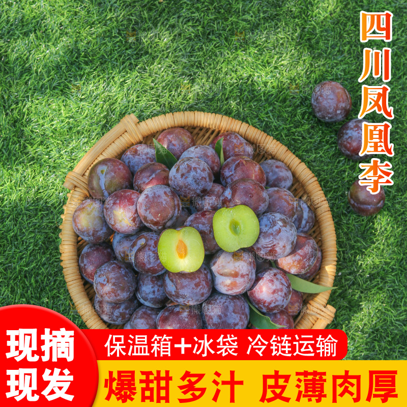 草地上放着五月脆李