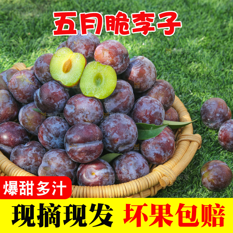 草地上放着五月脆李
