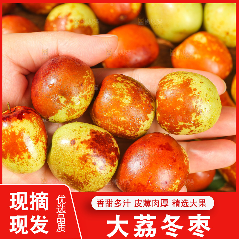 深底上的冬枣