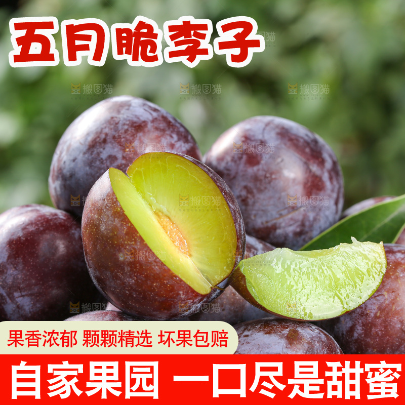 木底上的五月脆