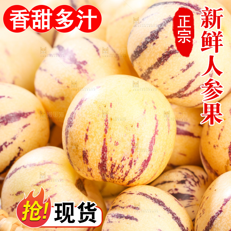 浅底上的人参果