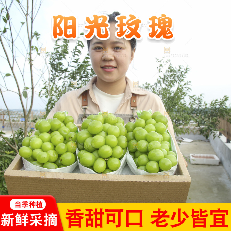 手里拿着一箱阳光玫瑰