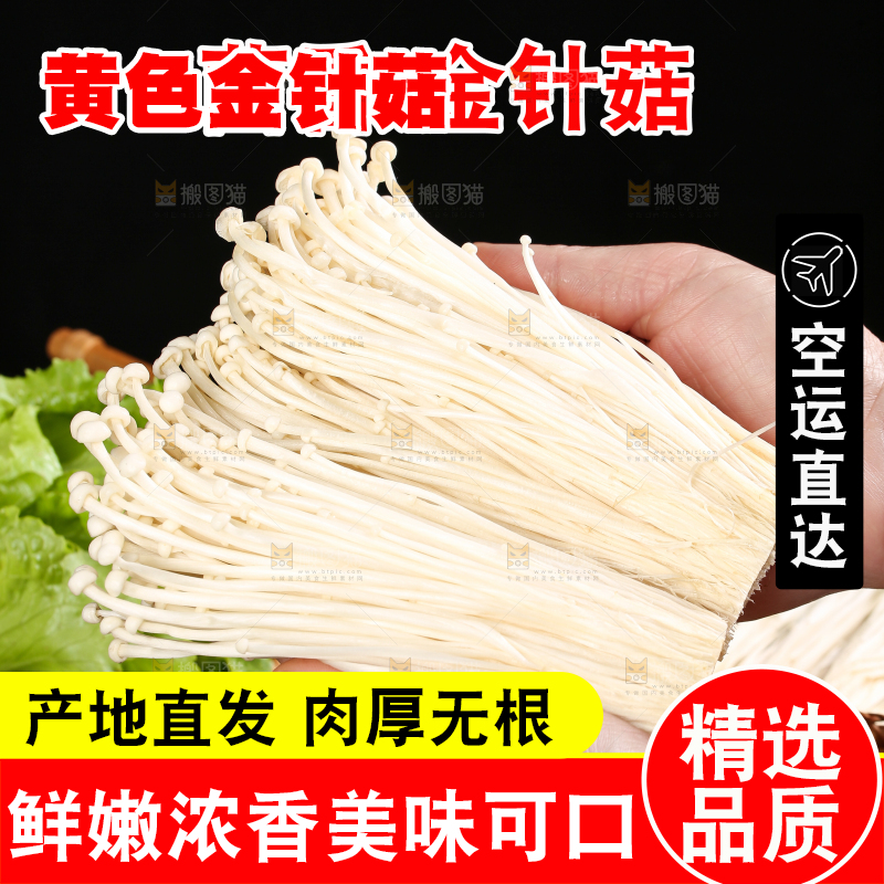 金针菇主图