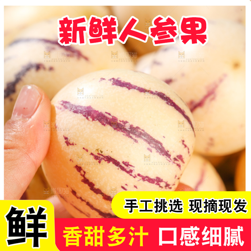 浅底上的人参果