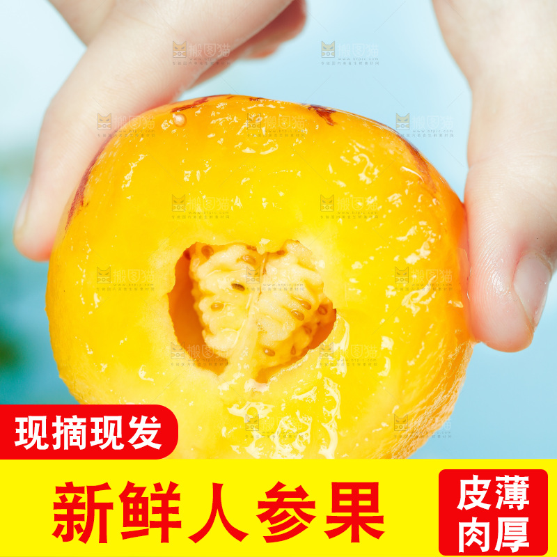 浅底上的人参果