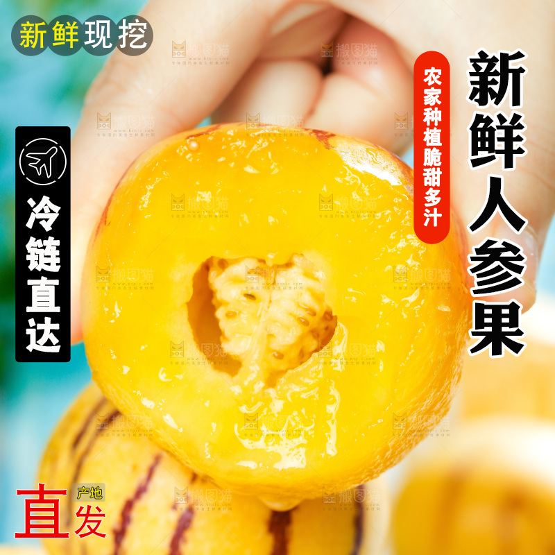 浅底上的人参果