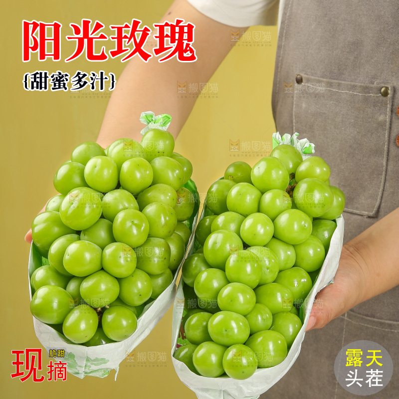 手里拿着阳光玫瑰