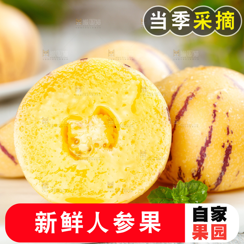 浅底上的人参果