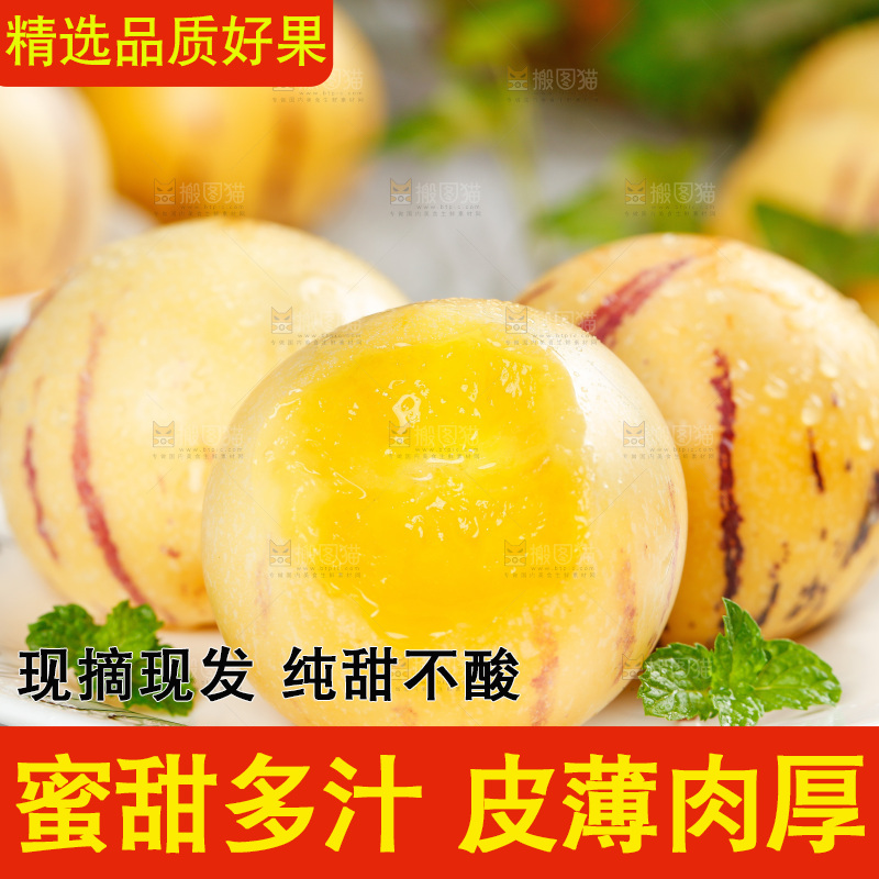 浅底上的人参果