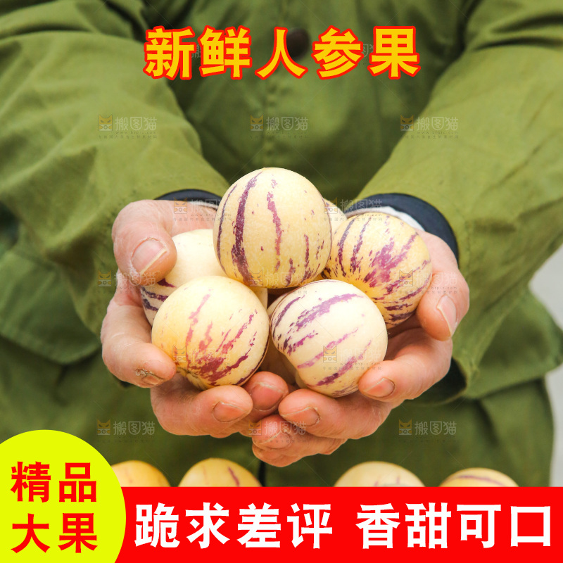 浅底上的人参果