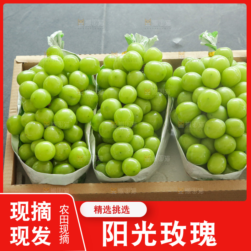 深底上的一箱阳光玫瑰