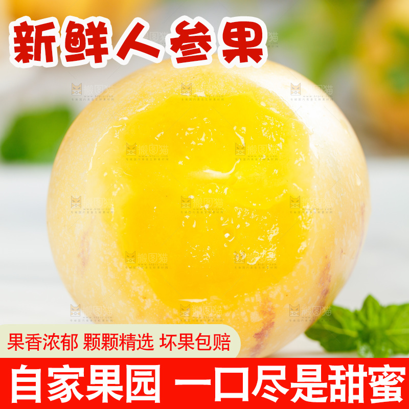 浅底上的人参果