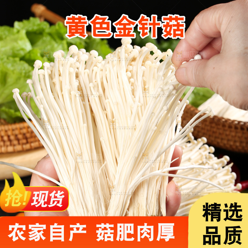 深底上的金针菇
