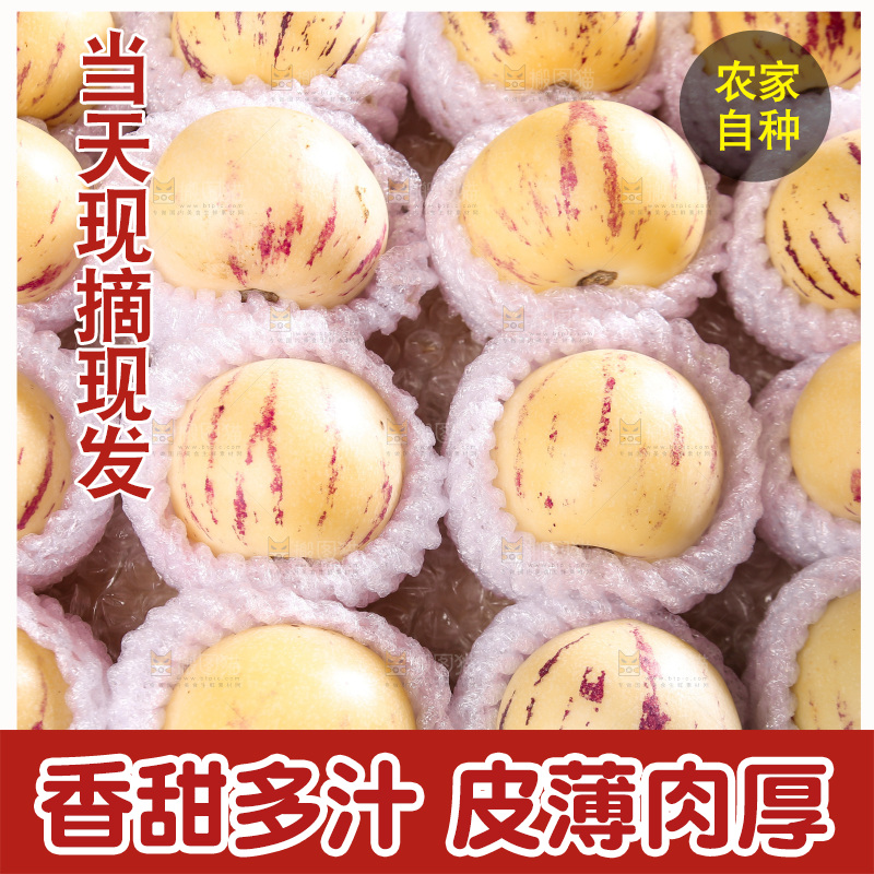 深底上的人参果